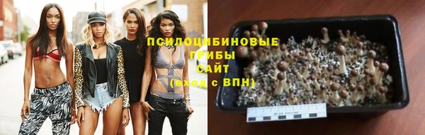 бошки Семикаракорск