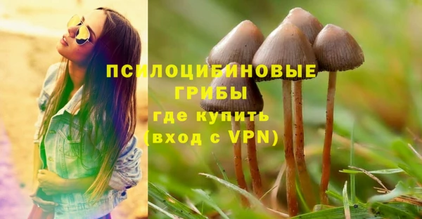 apvp Верея
