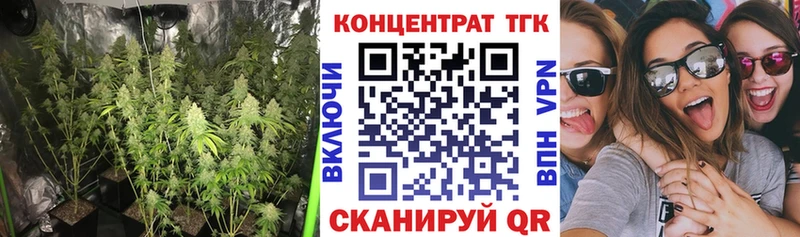 MEGA как зайти  цена   Славянск-на-Кубани  Дистиллят ТГК концентрат 